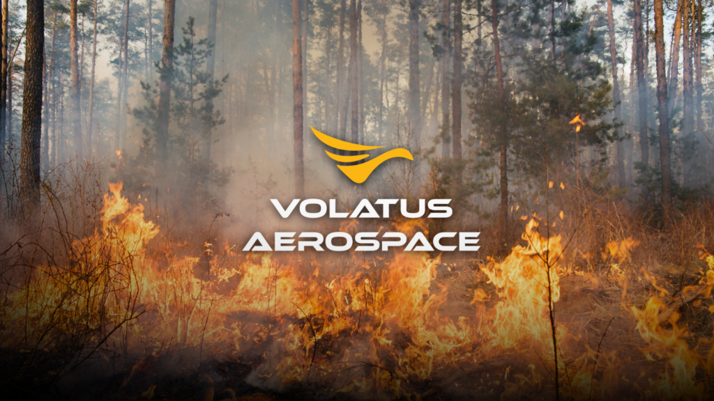 Disaster Management - Wildfire